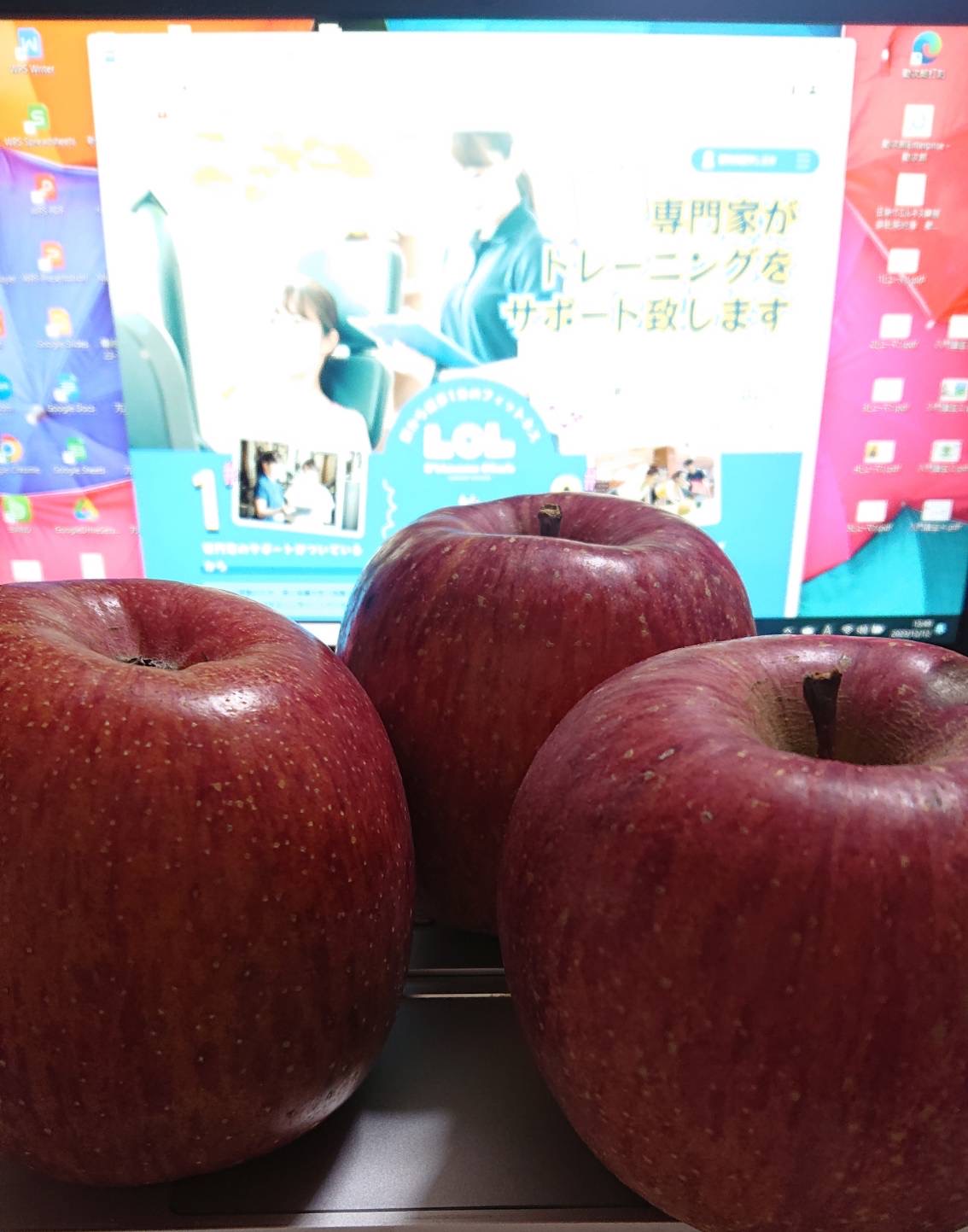 【今が旬の リンゴ????】