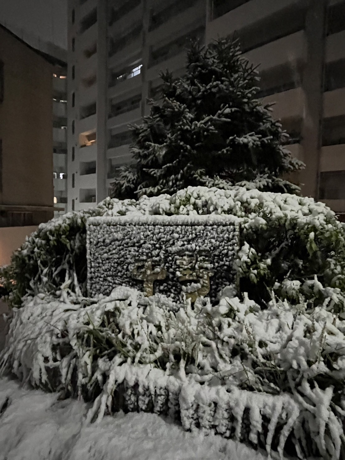 お庭外！福はうち！
