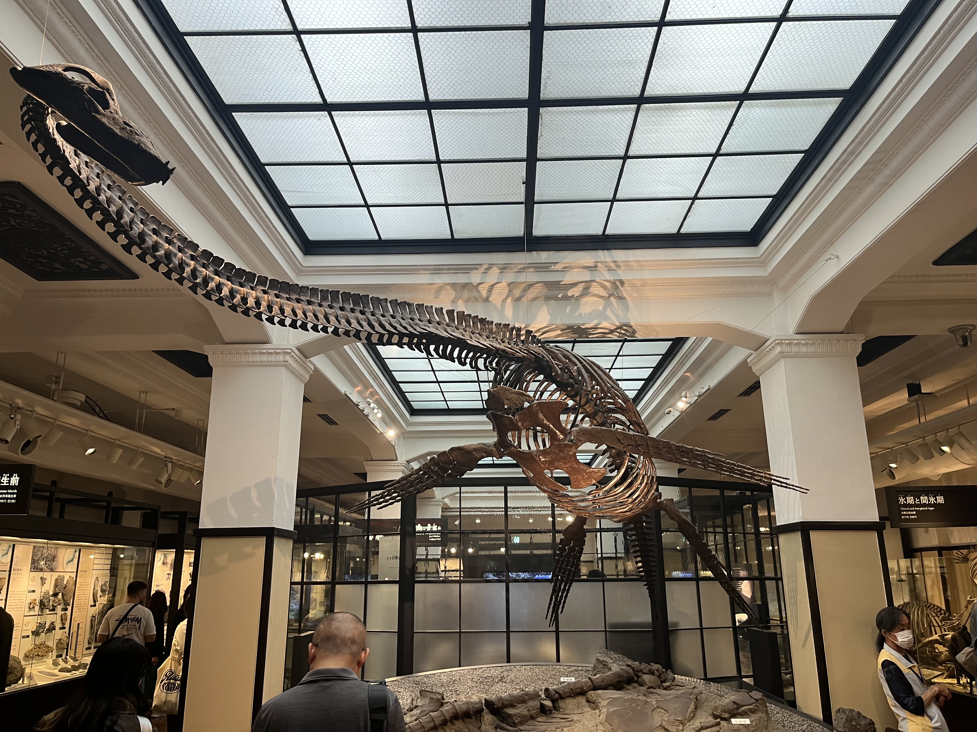 国立科学博物館ガイド