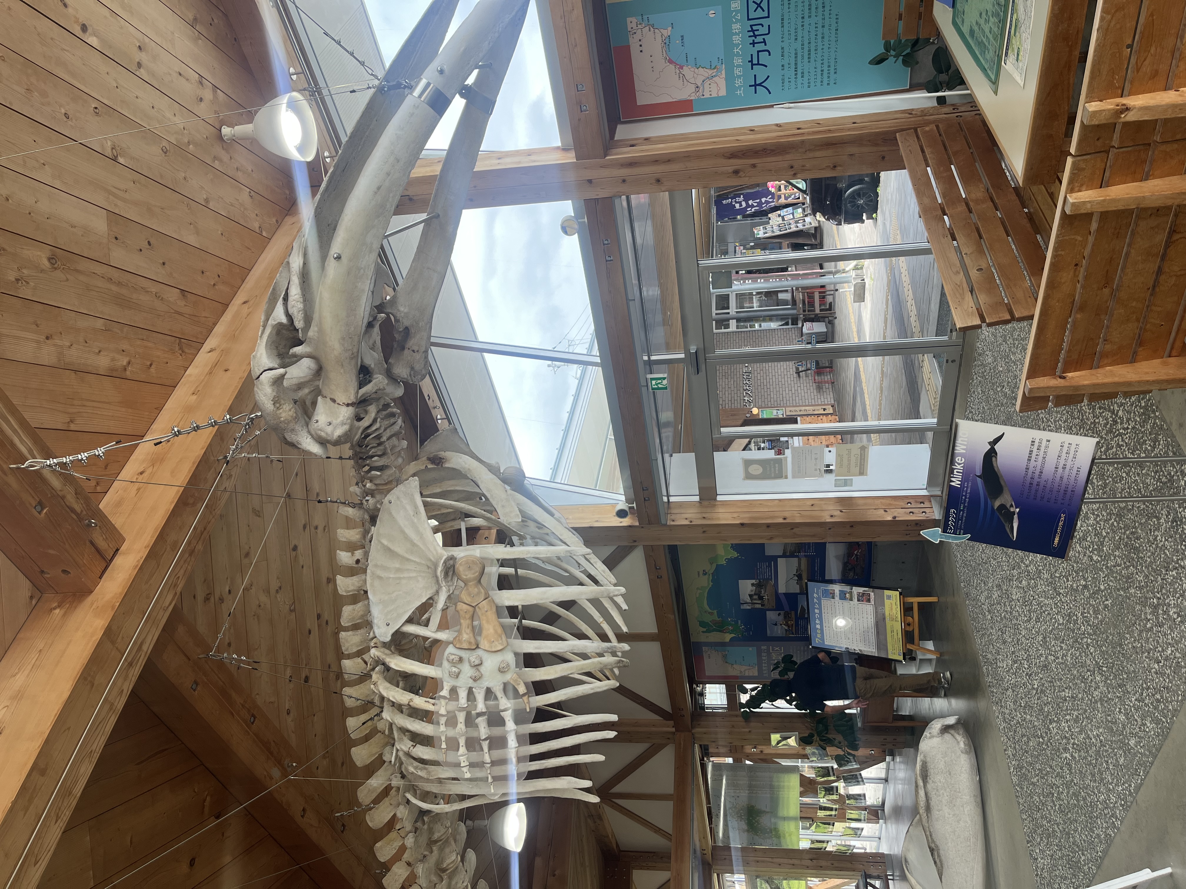 高知での出会い