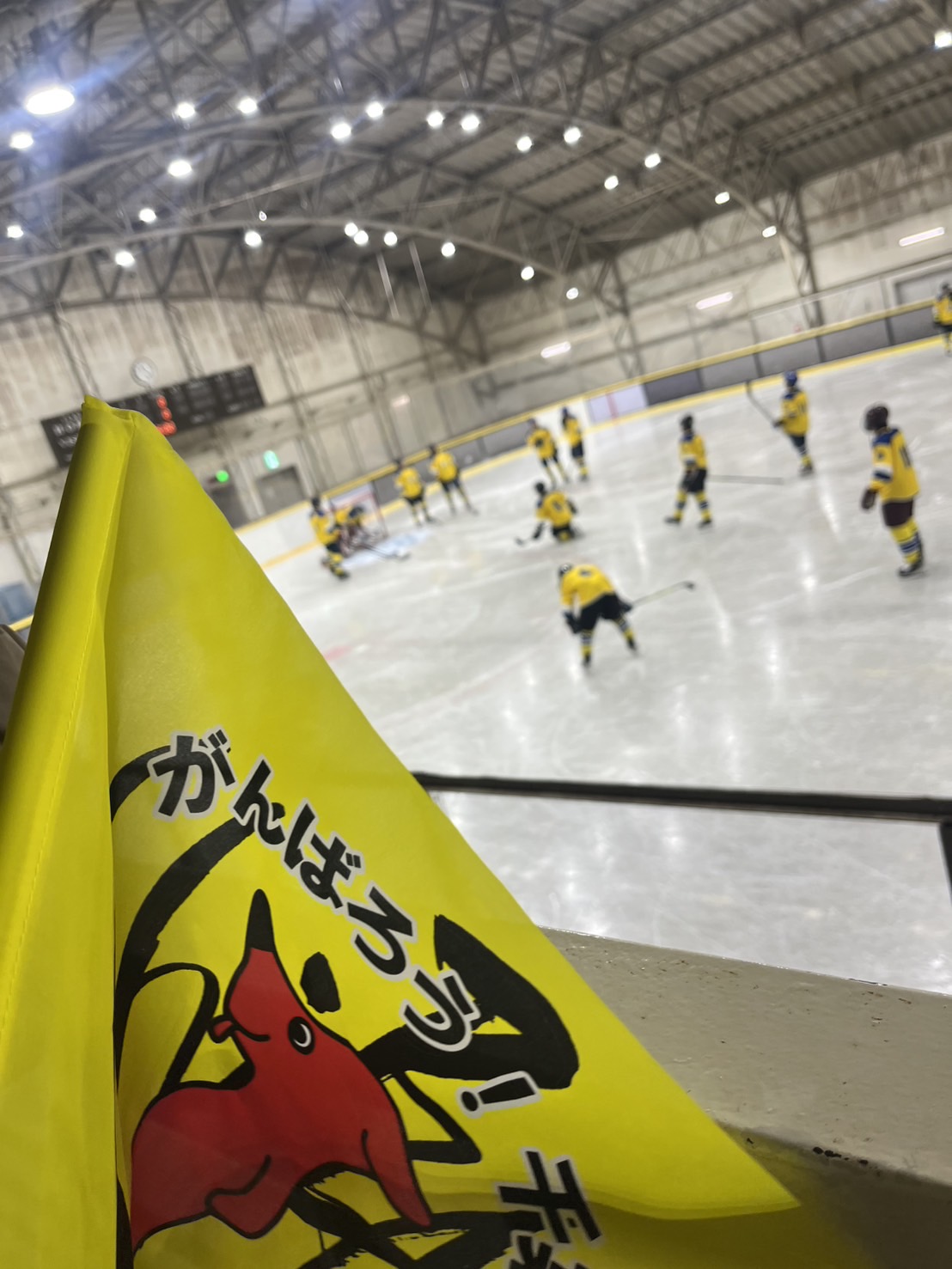 アイスホッケー冬季国体予選