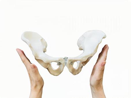 骨盤矯正って必要？運動で整う人の特徴