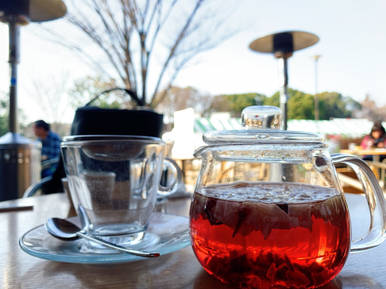 ローズヒップティー始めました