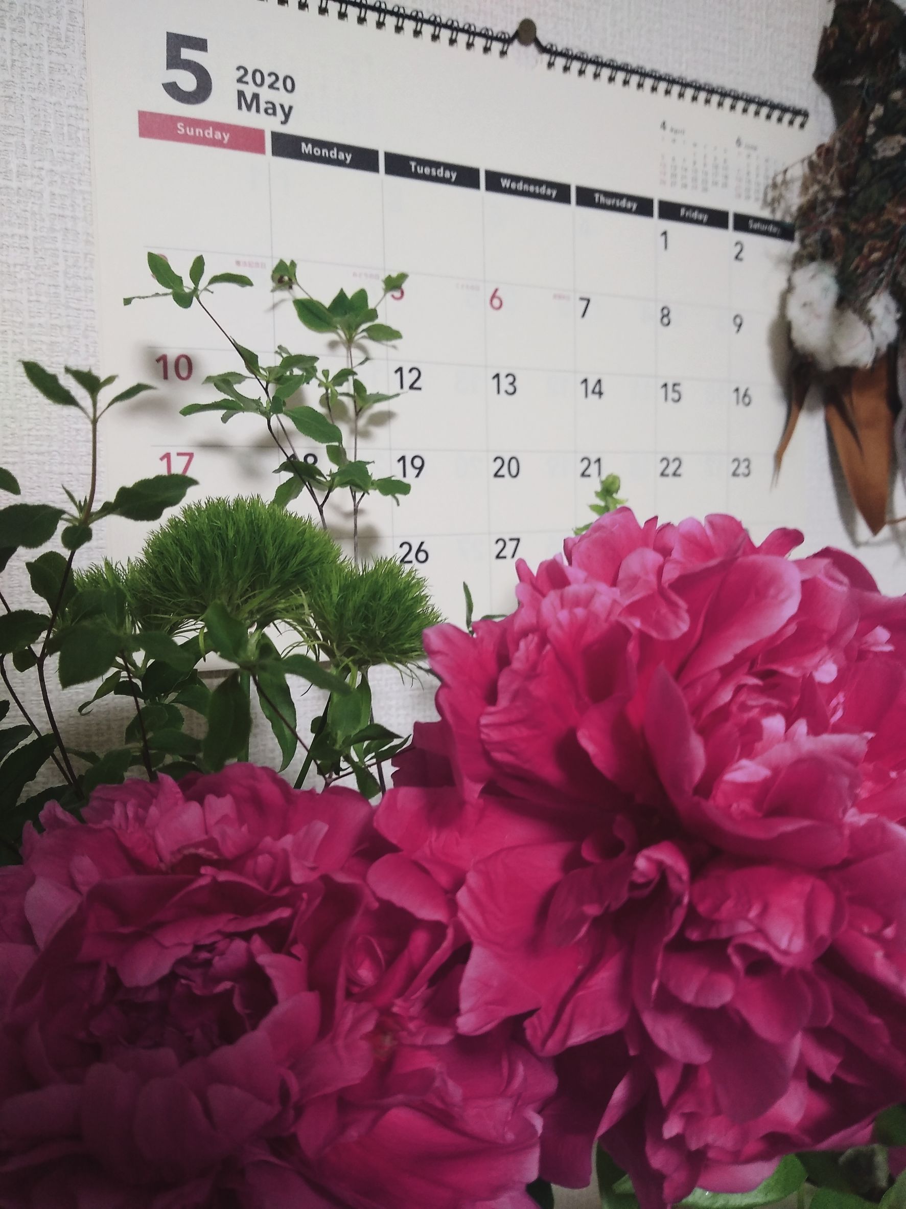 「夏とおもひで」