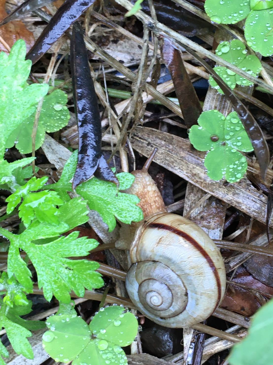 『雨の日は…パート2』