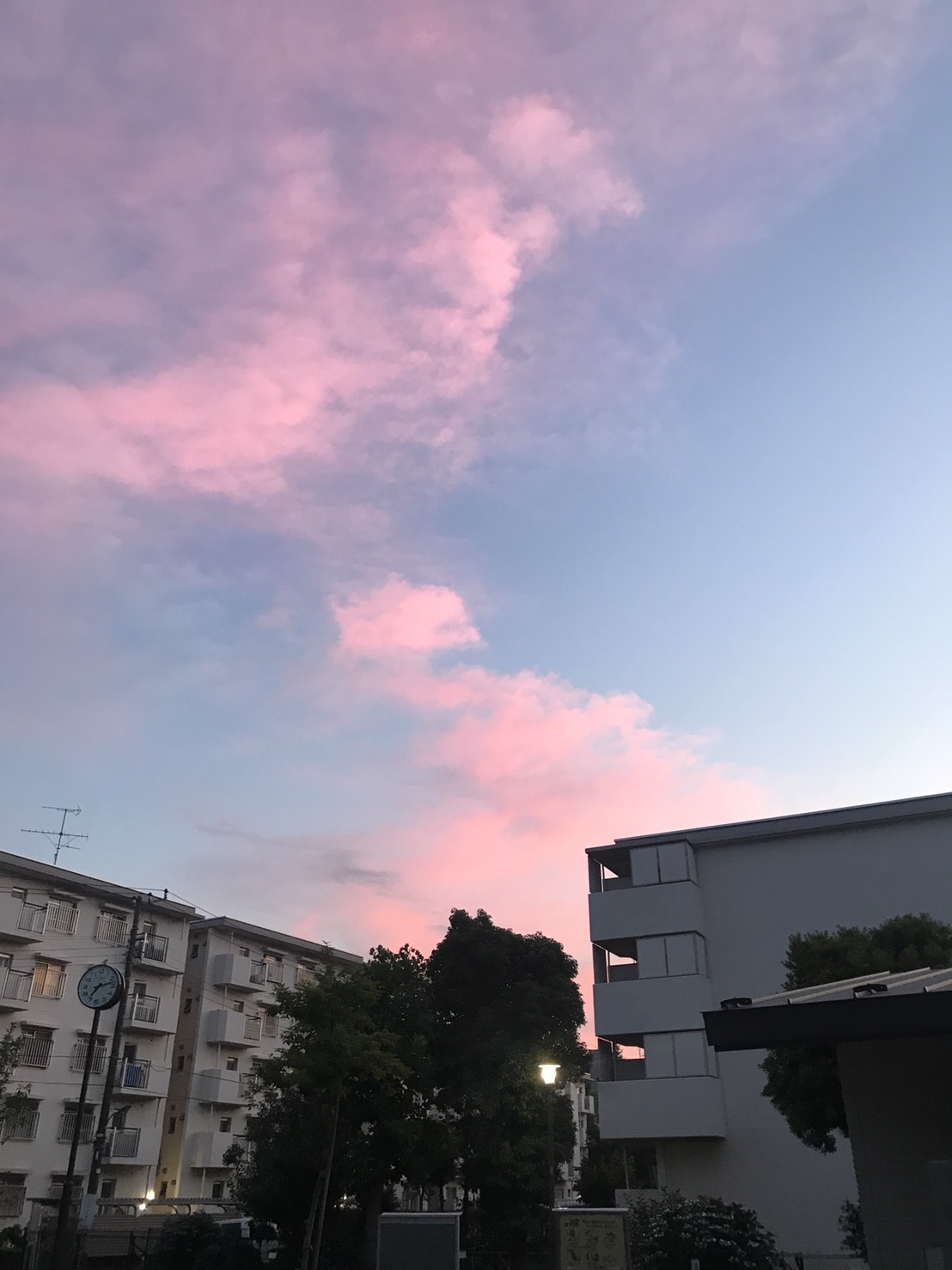 夕焼け×鉄棒×コーヒー