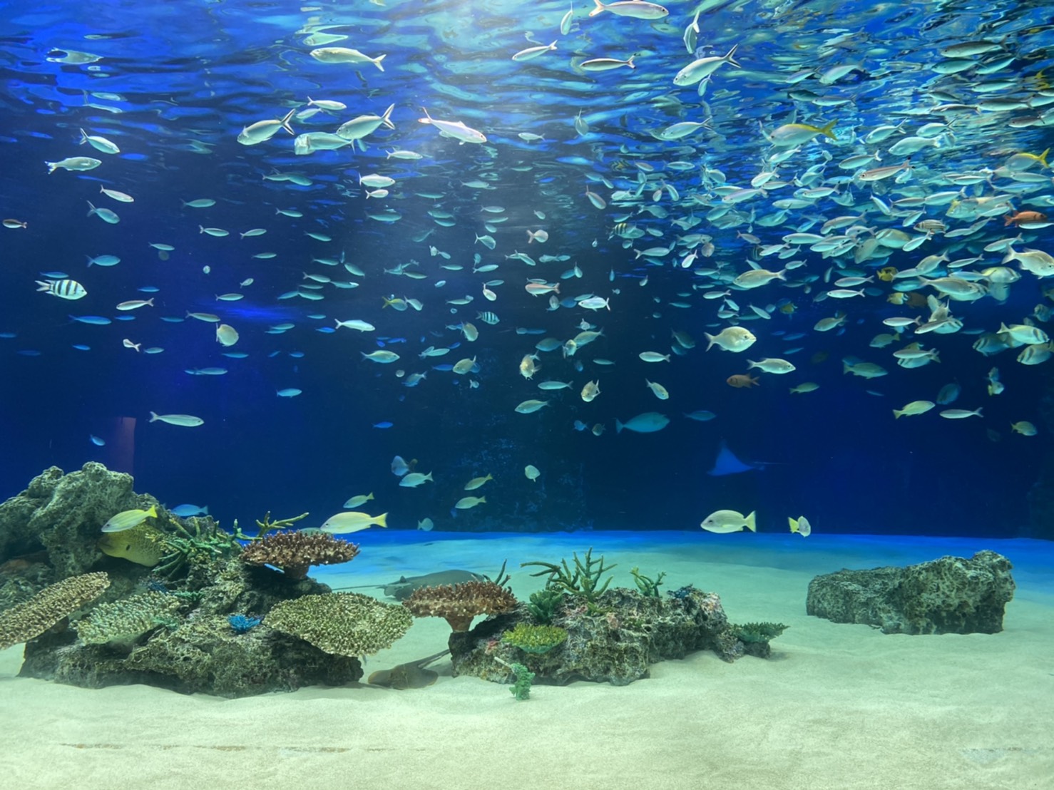 「だんだんと(暖暖と)」