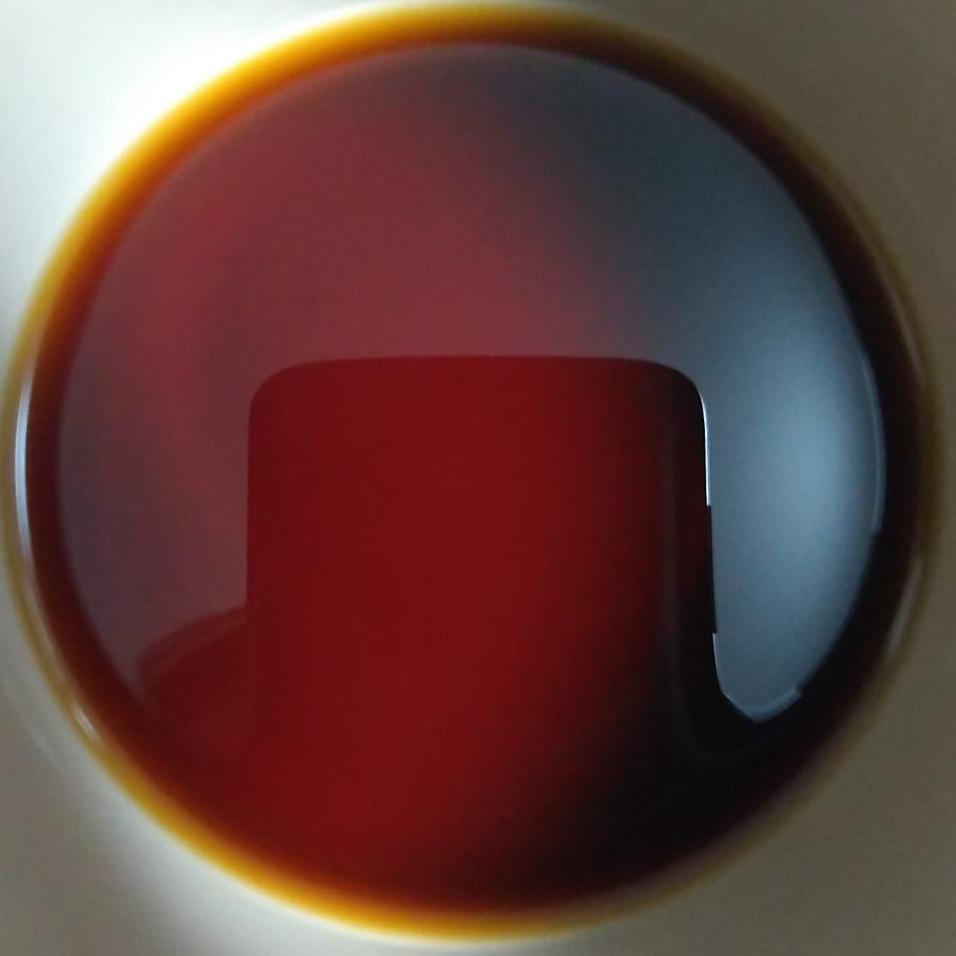 「早起きは三文の徳」