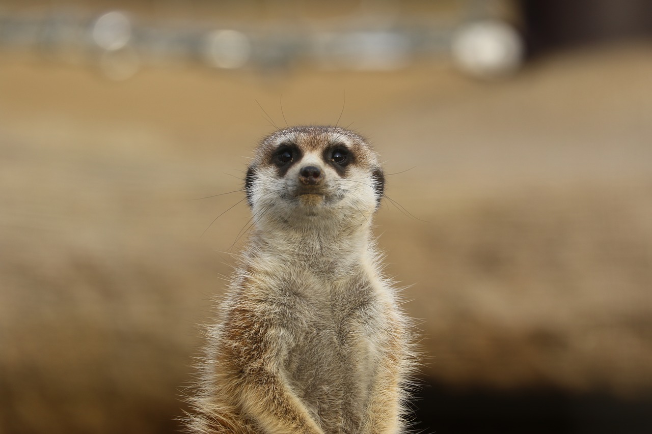 鹿嶋ブログ ~その8~