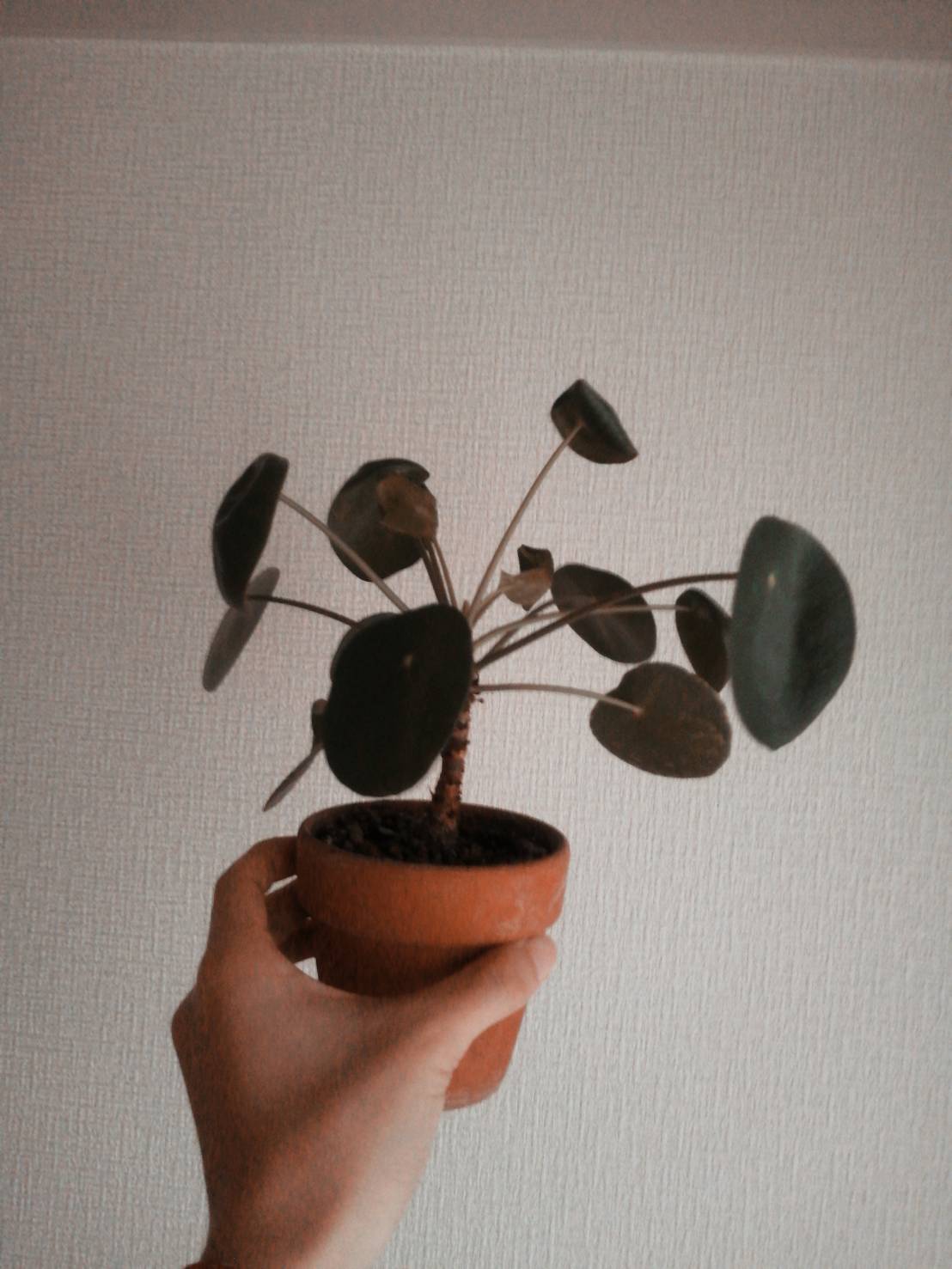 「冷蔵庫と母の偉大さを知った高校一年生」