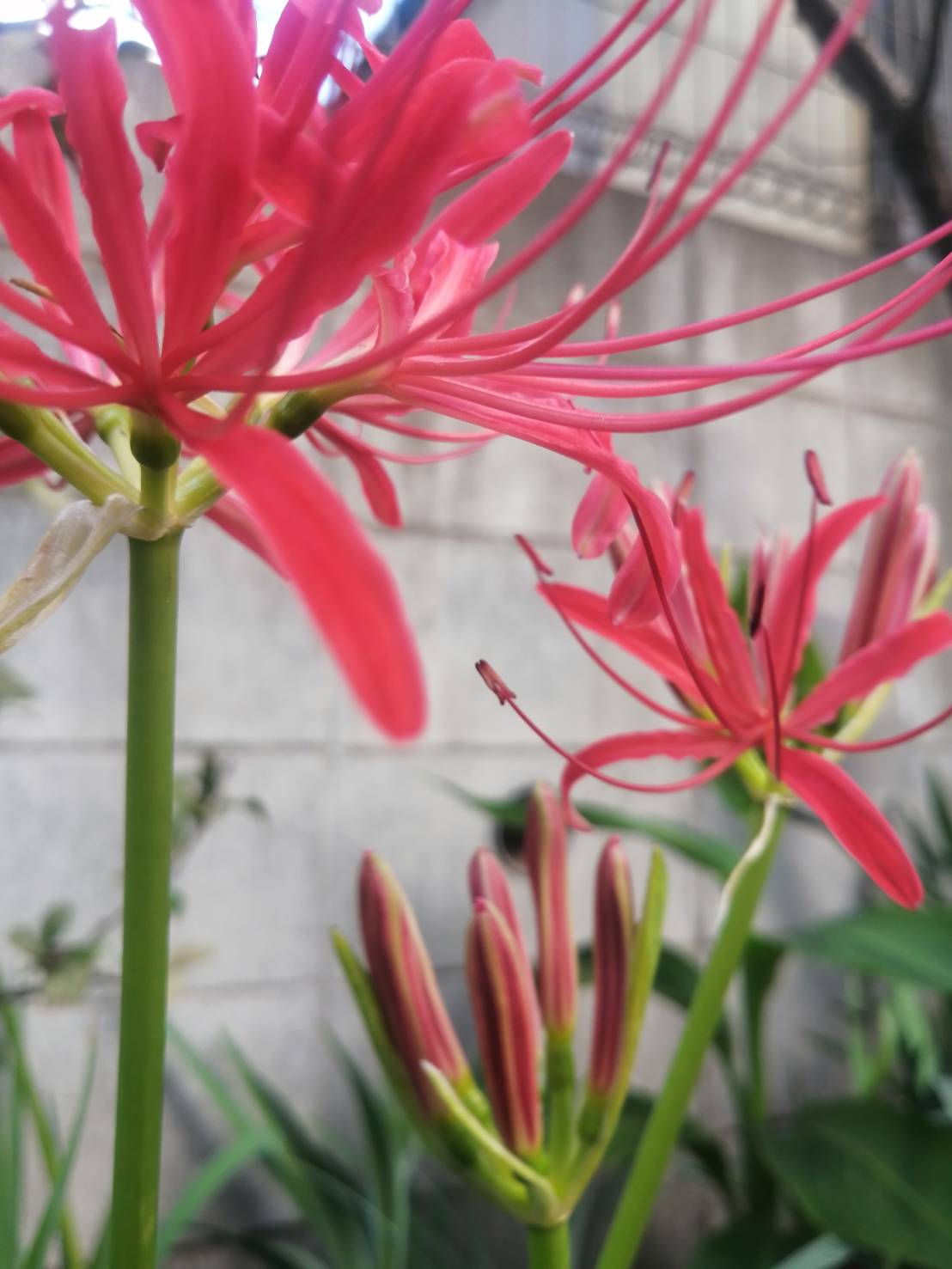 「忍び寄る緊張感」