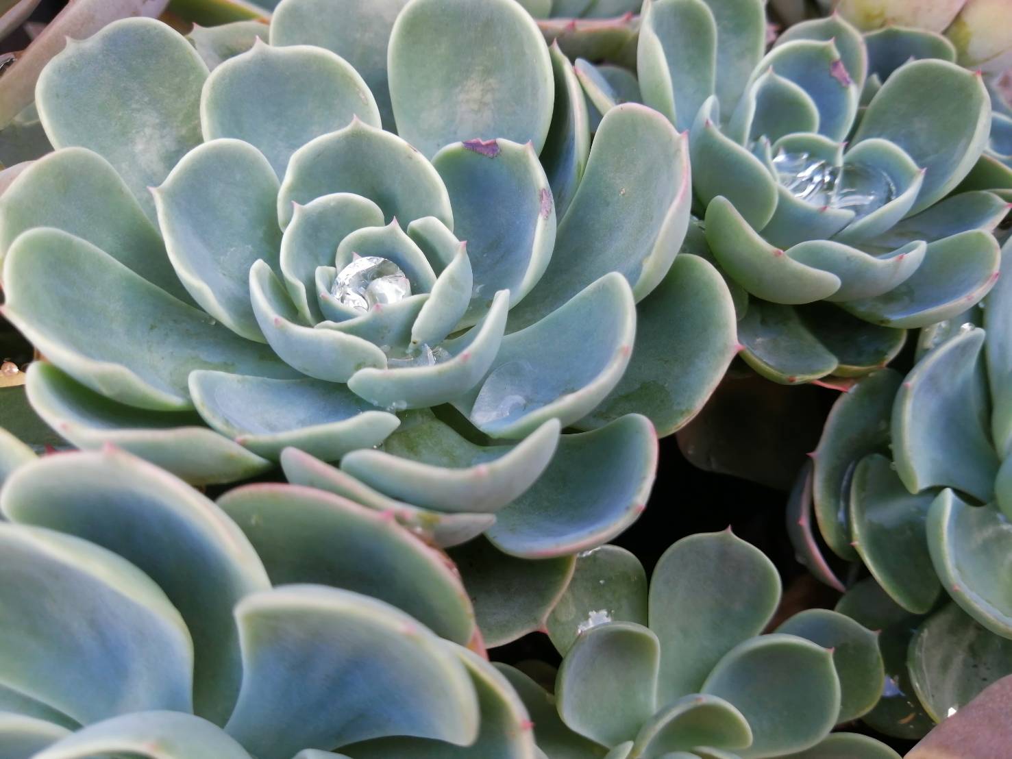 「My favorite thing… 」