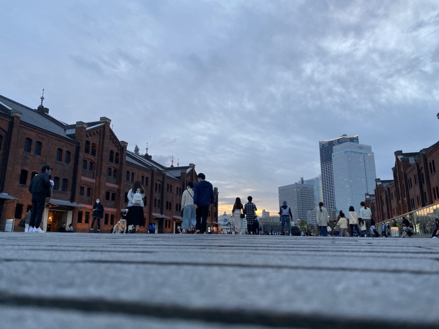 「クラフトビール」