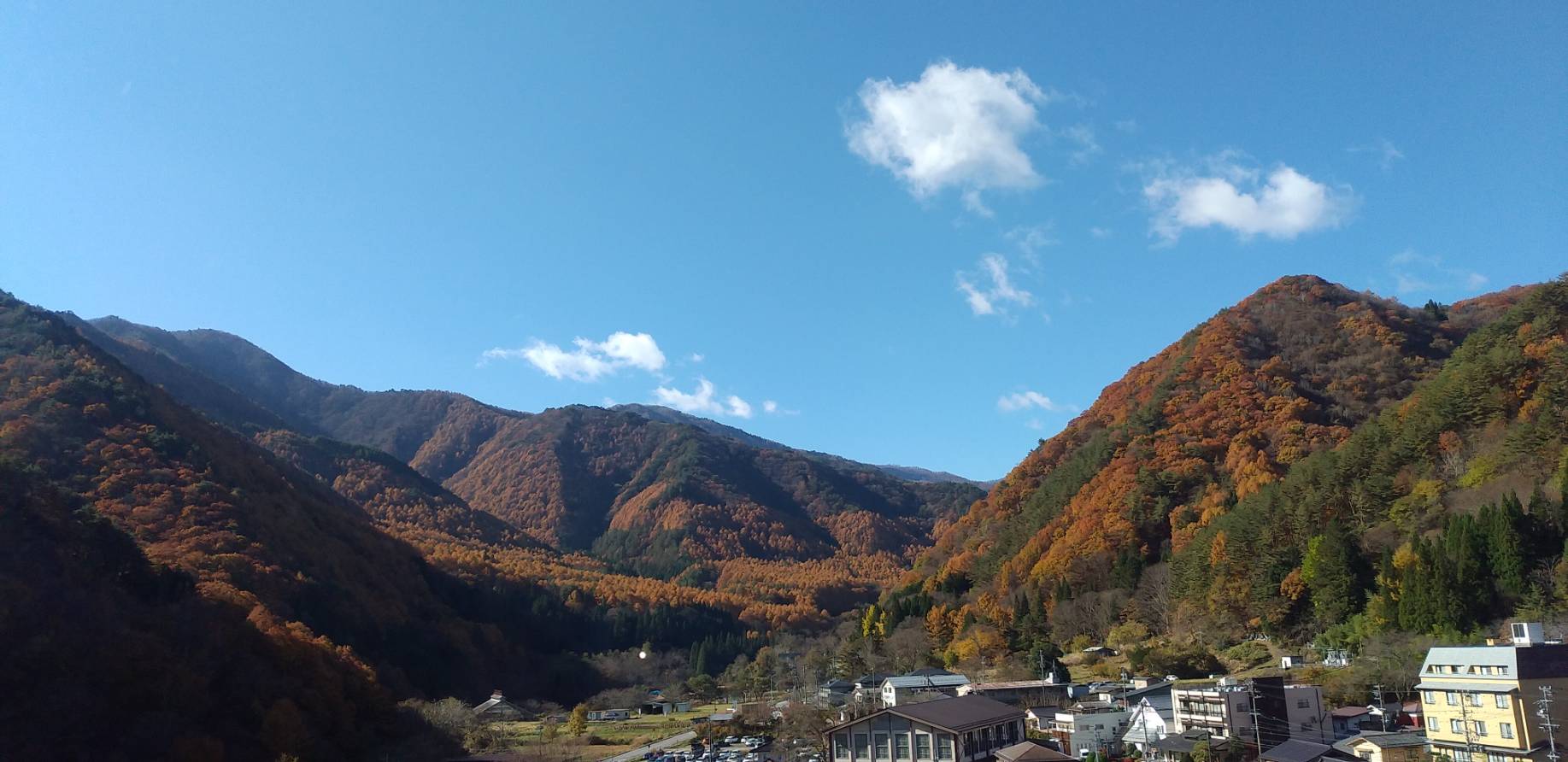 「久々の外出..紅葉」