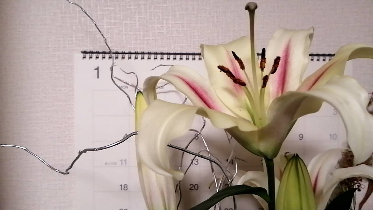 「あけましておめでとうございます」