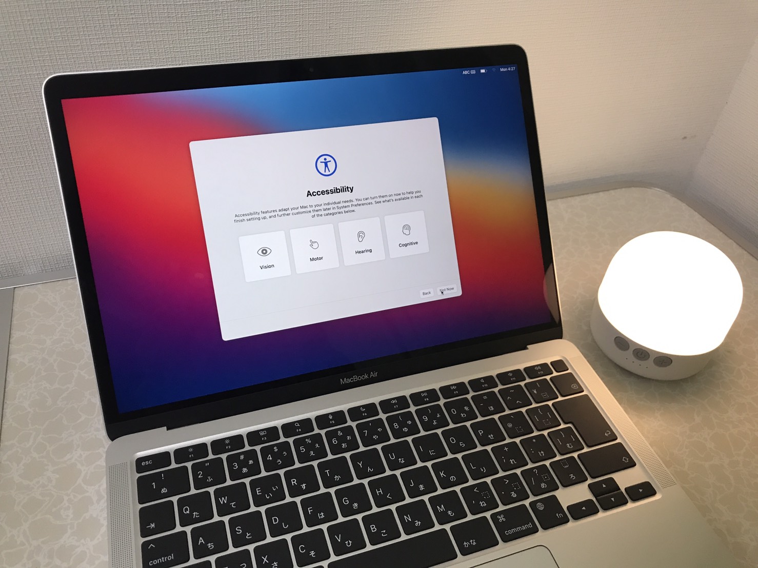 新しいおもちゃ