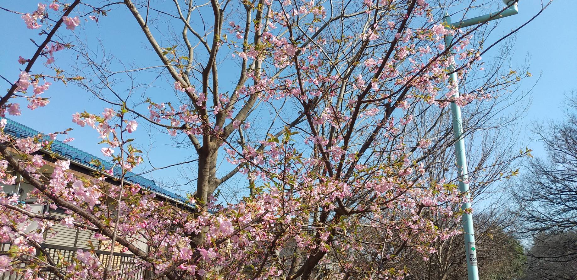「ながら〇〇・・・」