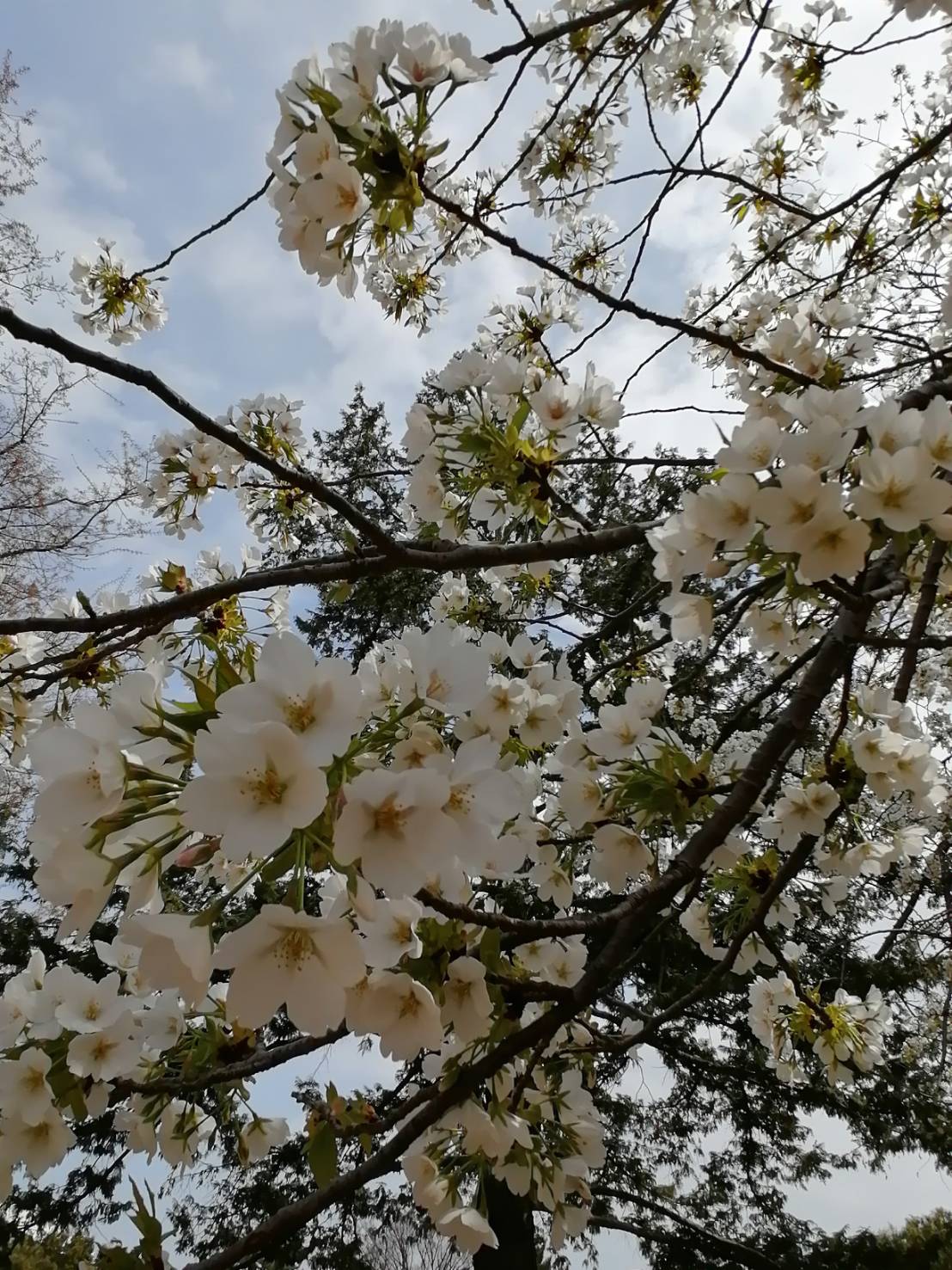 「つづくもの」