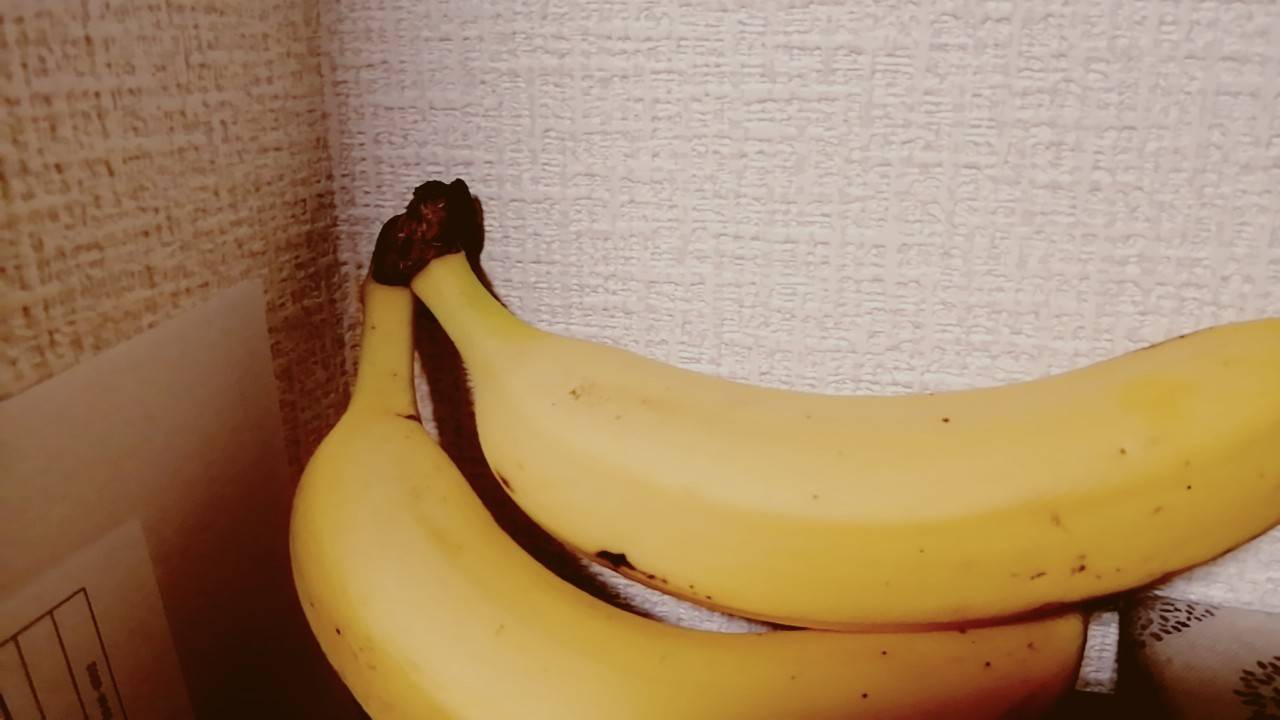 「そうだ、おしゃれしよう」