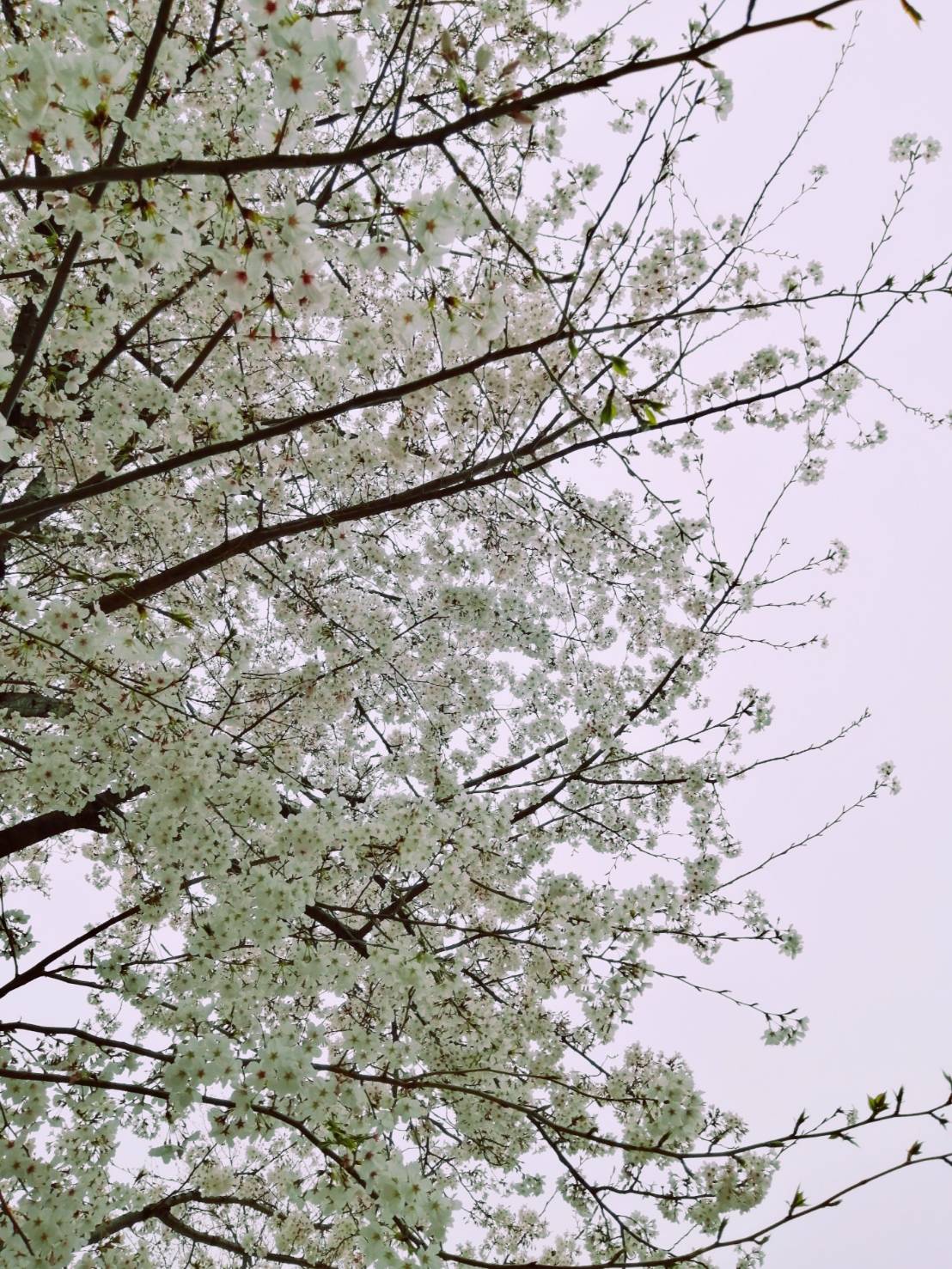 「3月も終わりますが……」