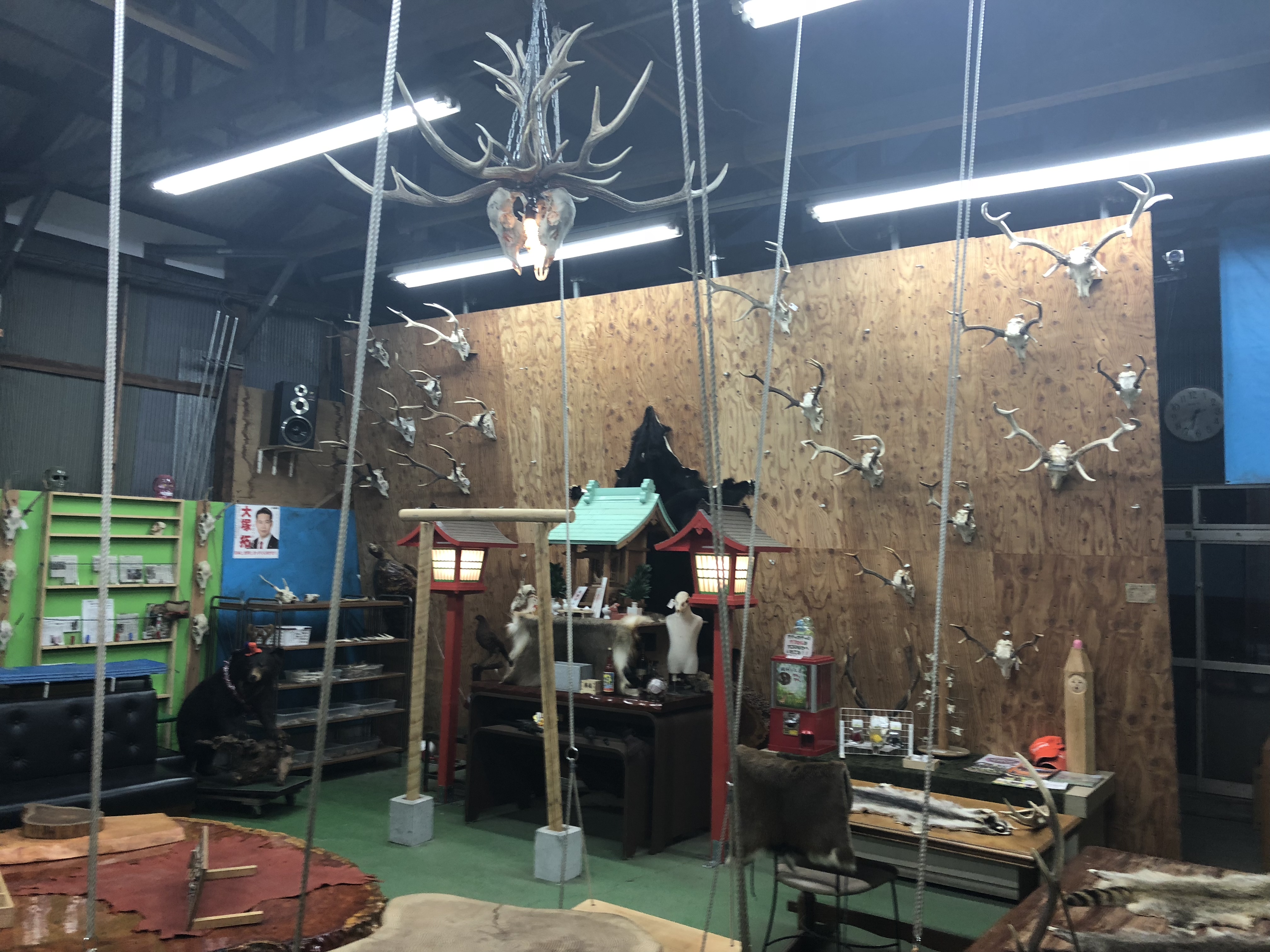 食わず嫌い嫌い