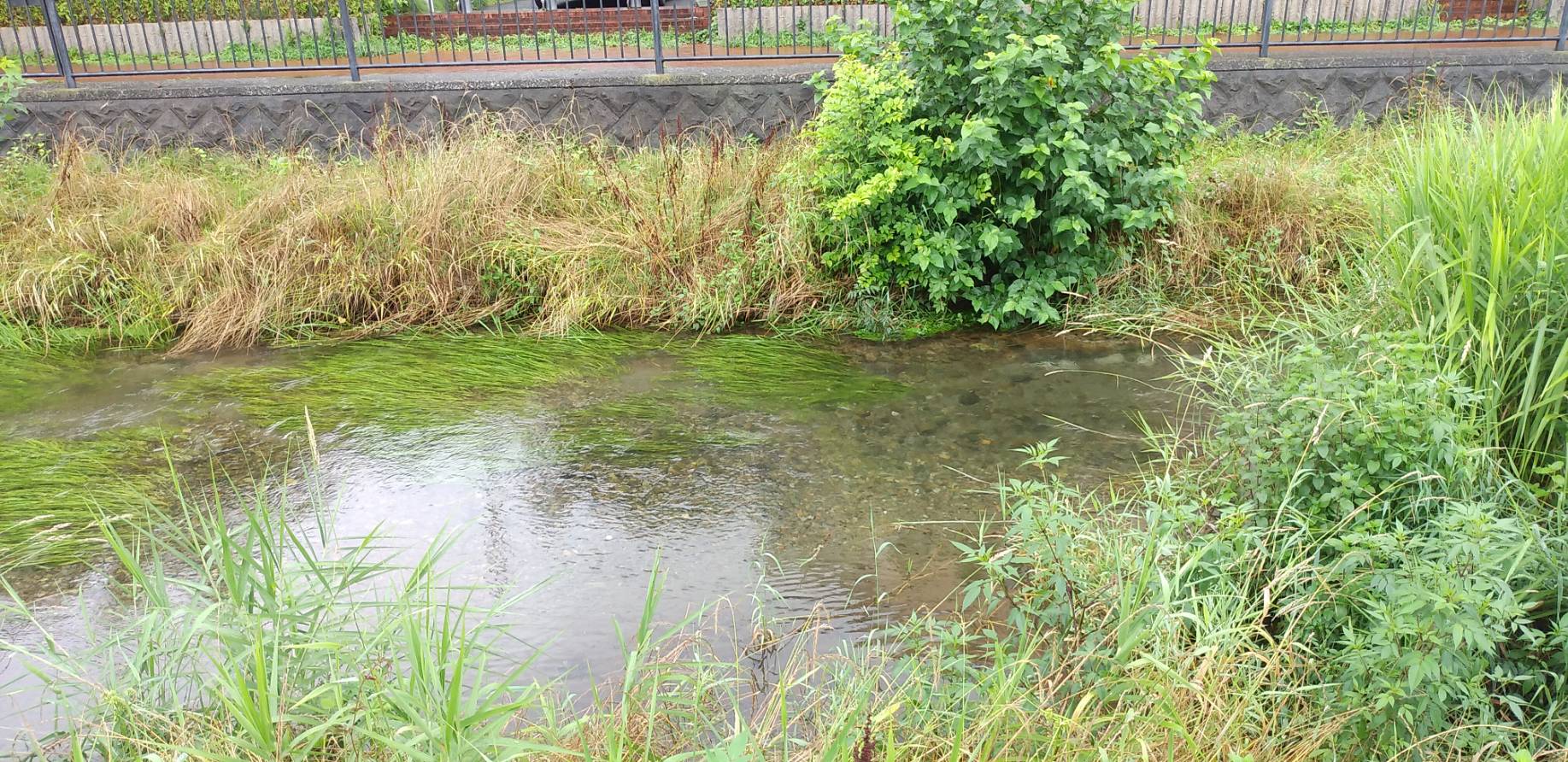 「水を求めて…」