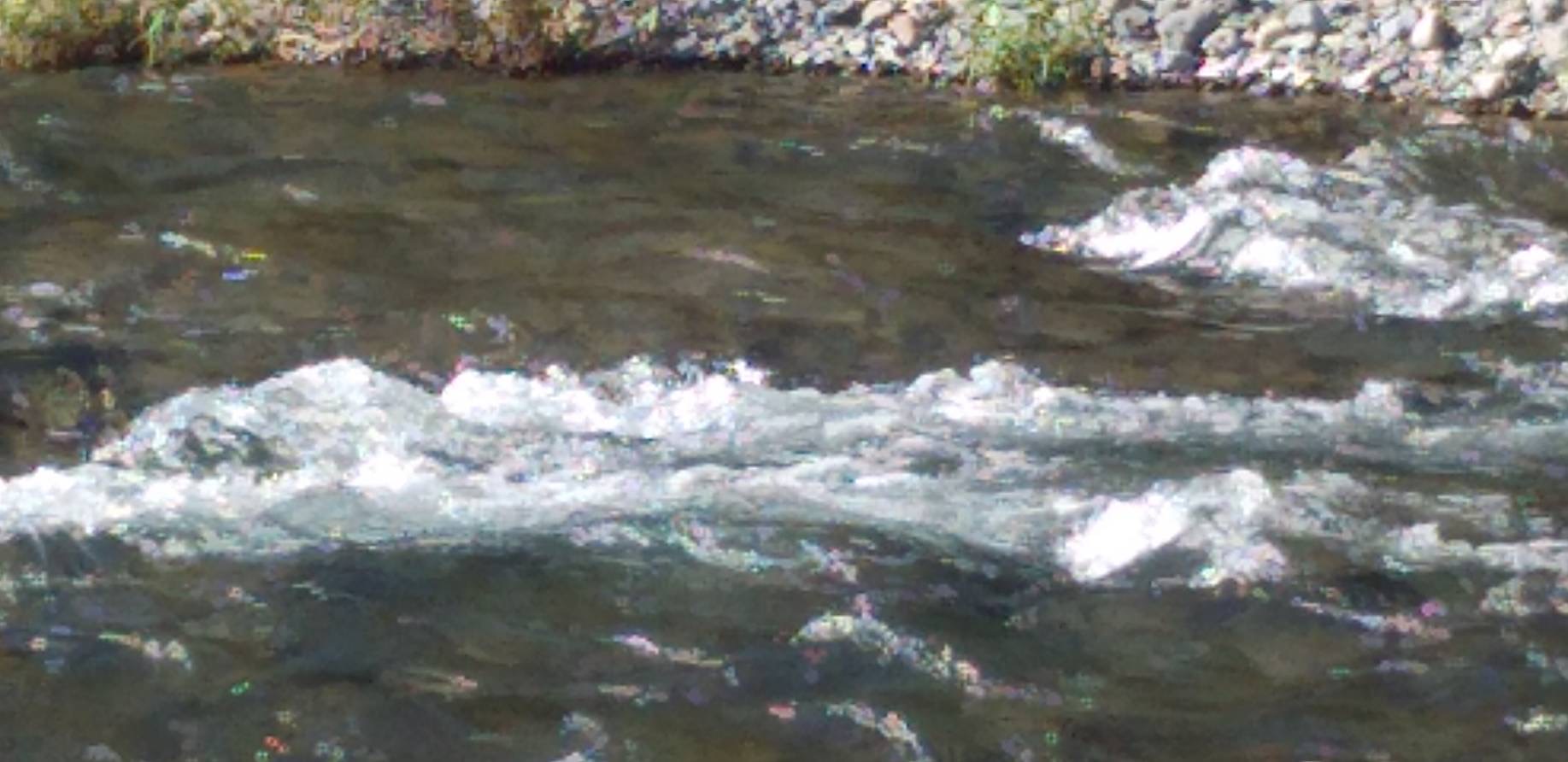 「秋晴れの川遊び」