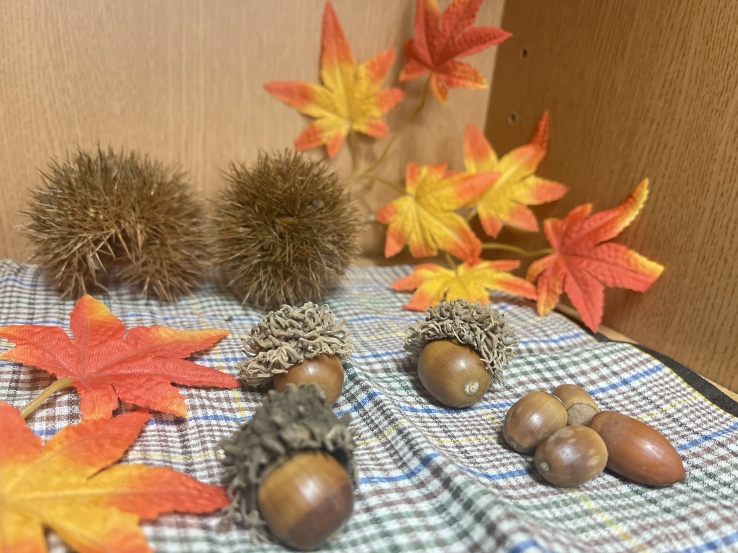 買い替えました