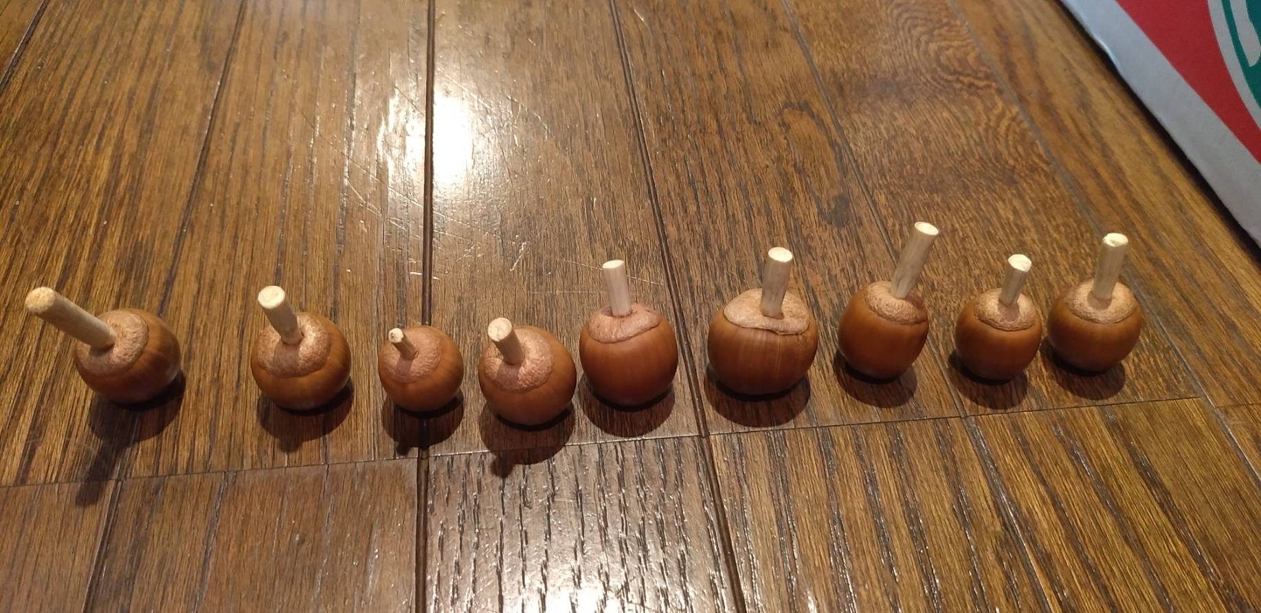 「ドングリと秋」