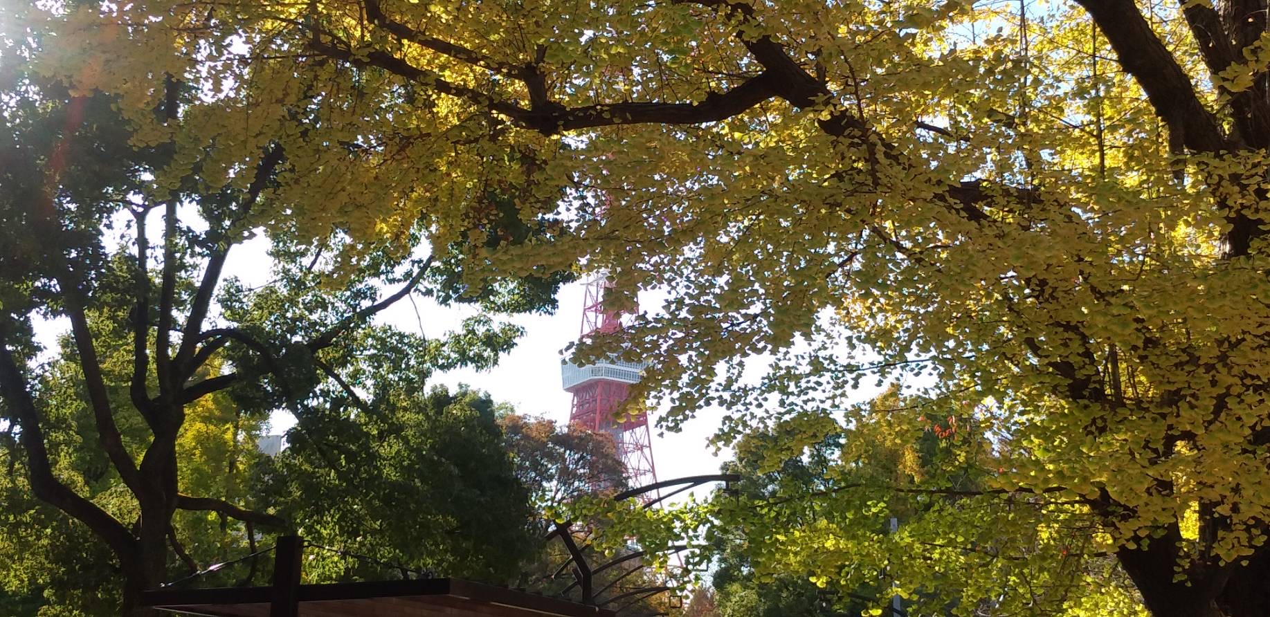 「都内の景色」