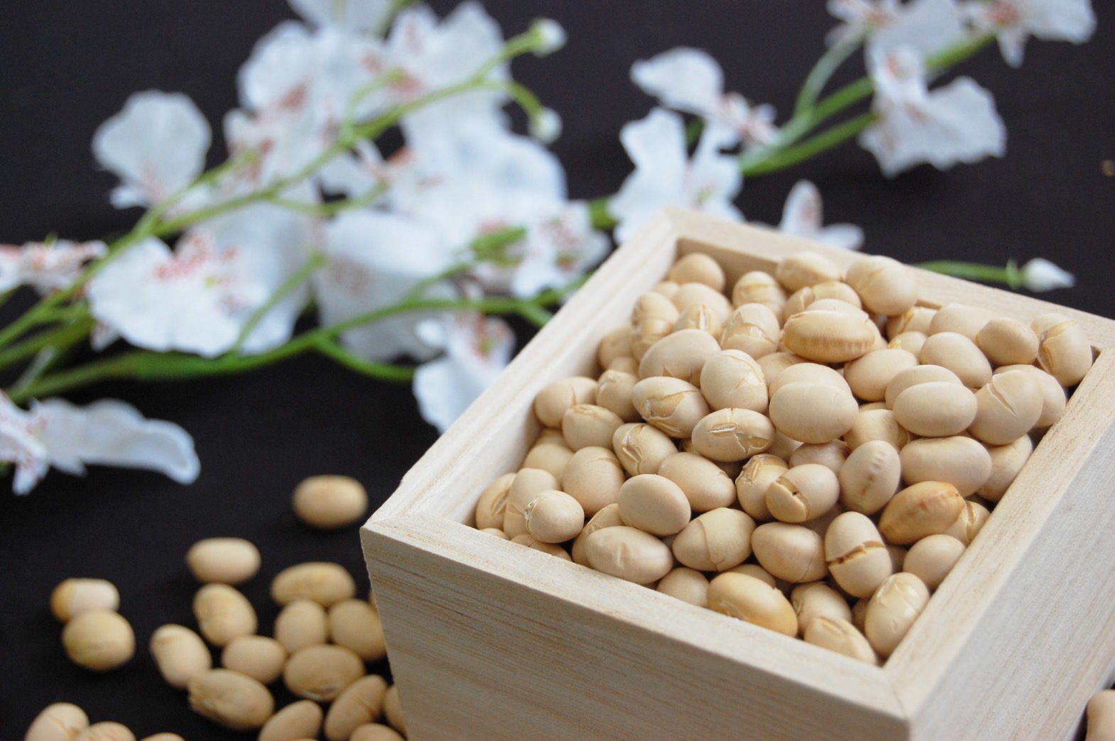 捨てなきゃよかった