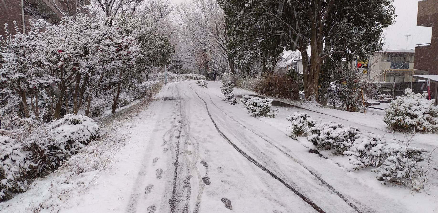 「雪景色パートⅡ」