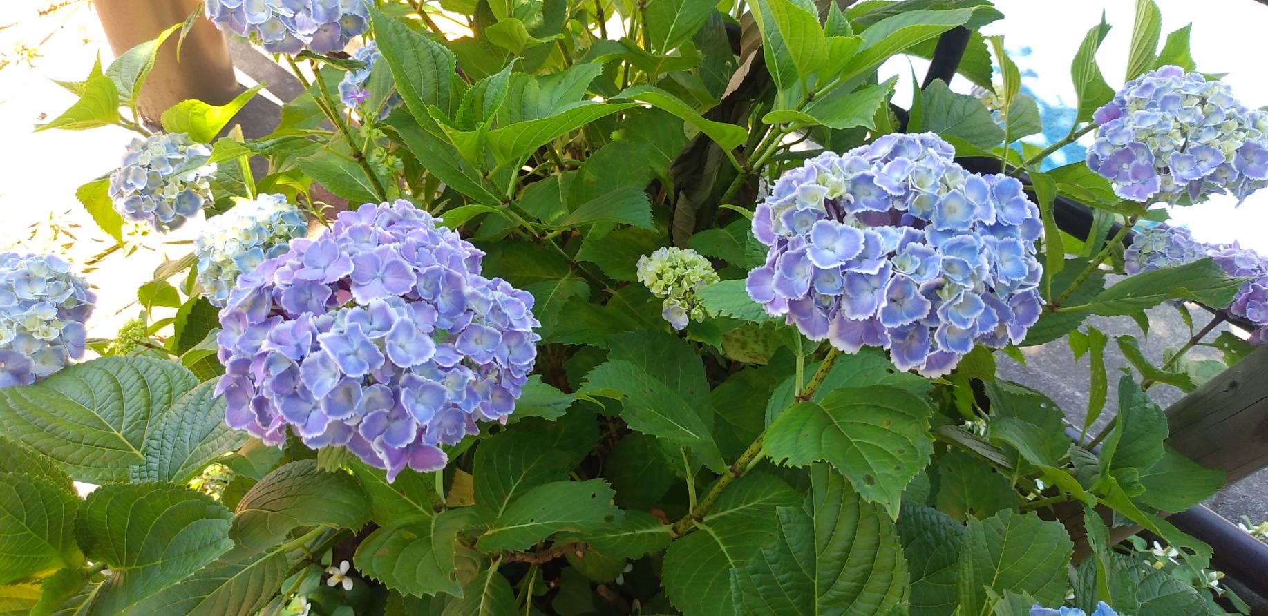 「やってきました！この季節」