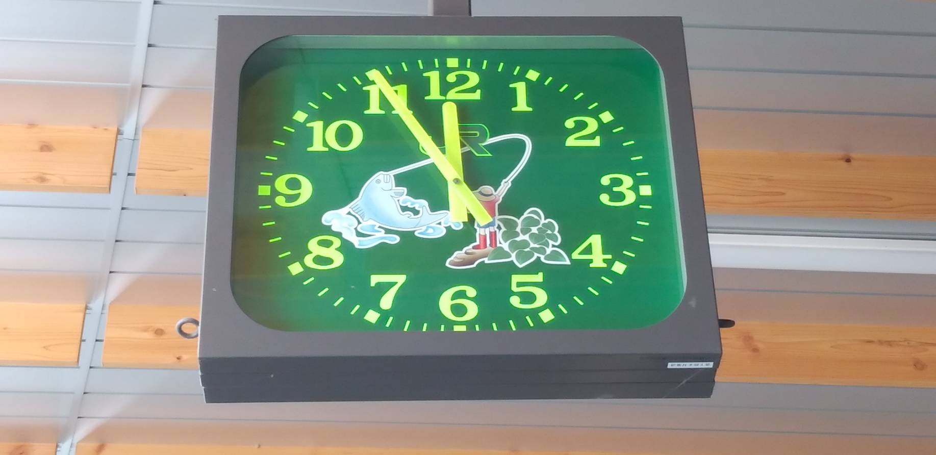 「ふと、上を見たら…」