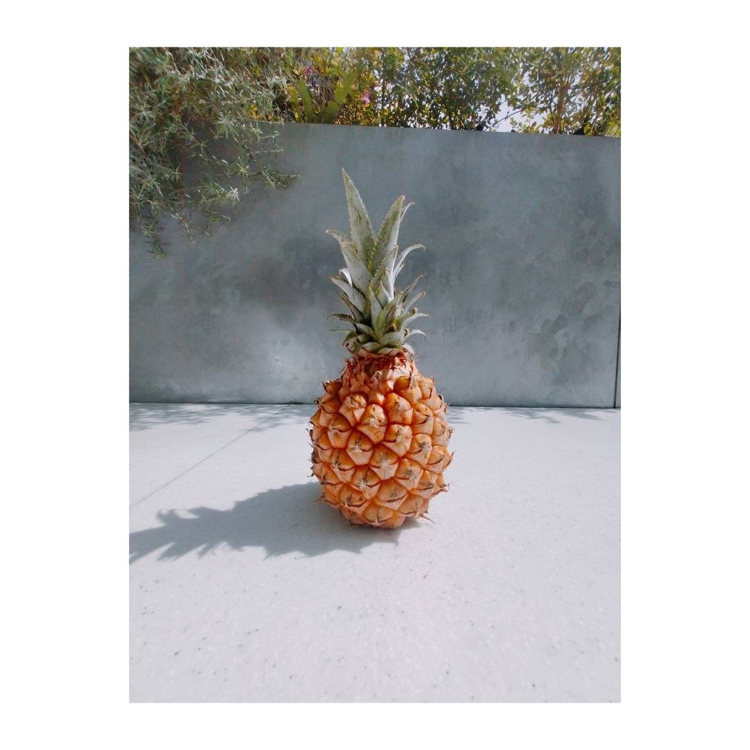 ボゴールパイン