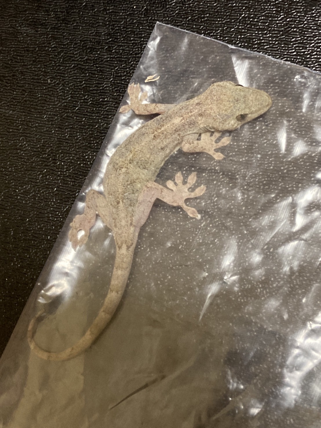 びっくりしたよ