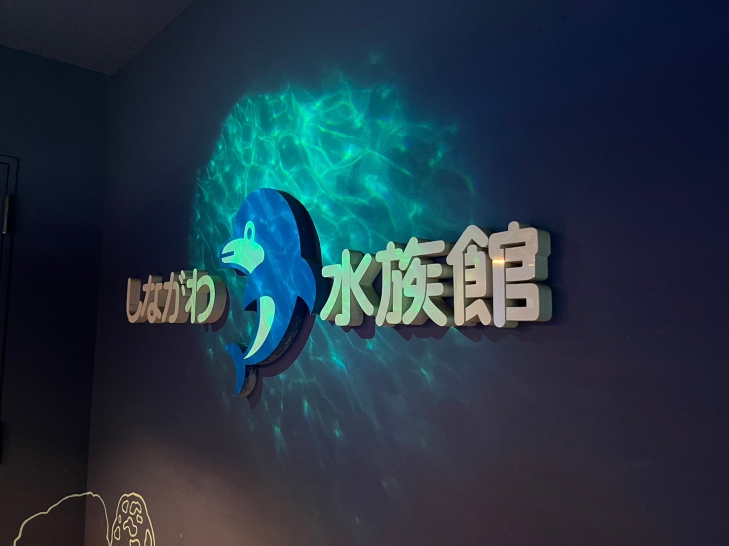 水の生き物たち