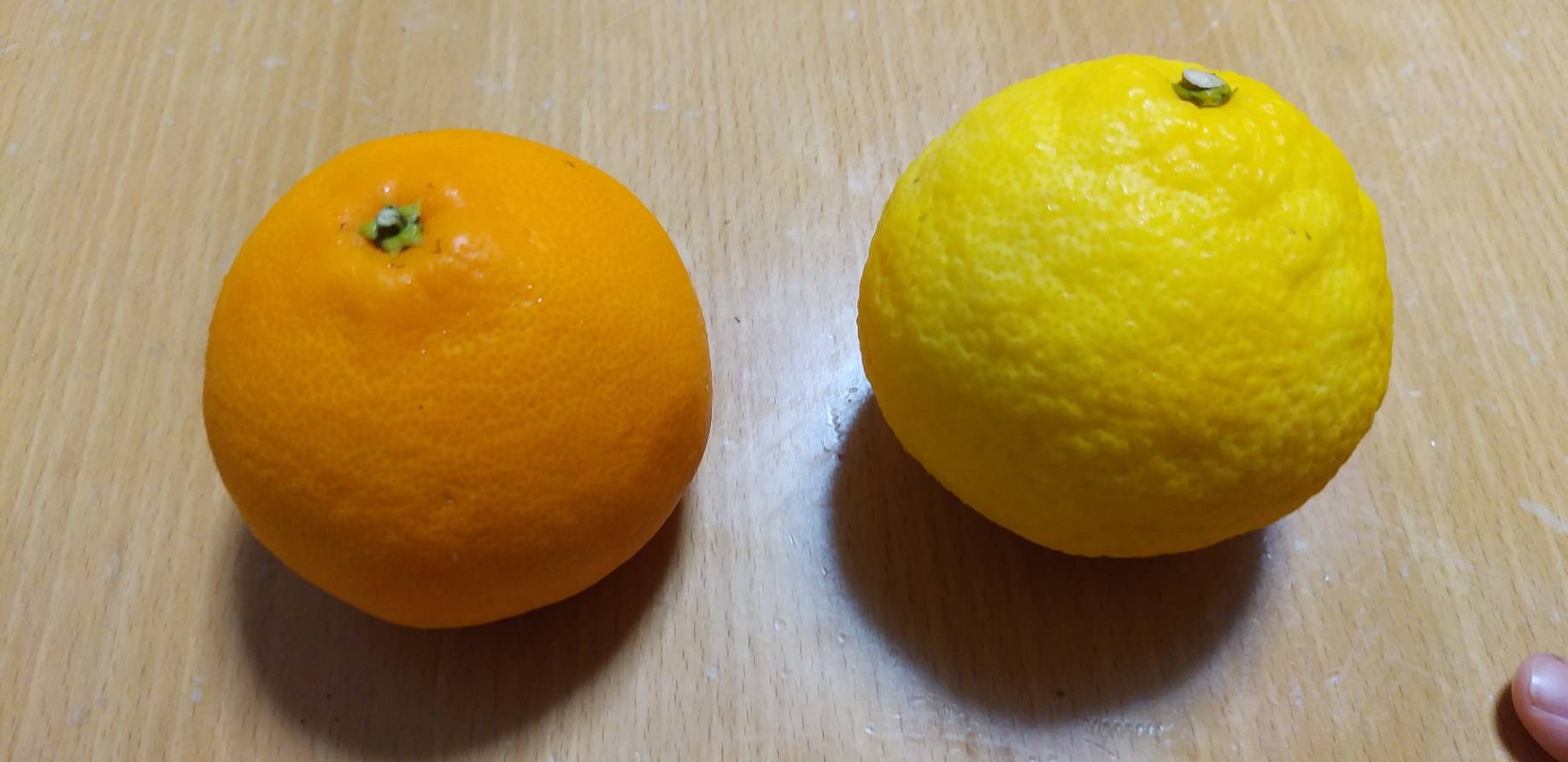 「はるかとせとか」