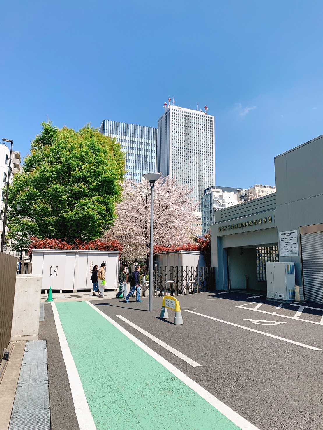 今年の桜総集編