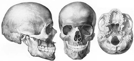 ボイストレーニング