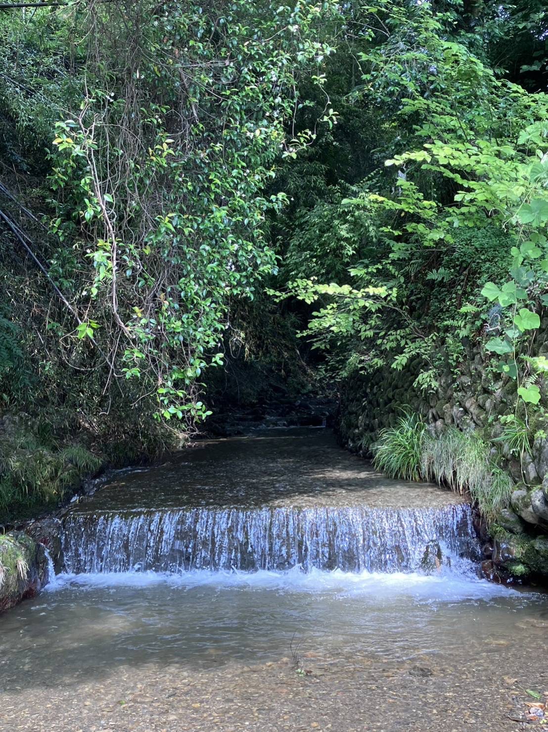 ｢自然の中で自然なトレーニング｣