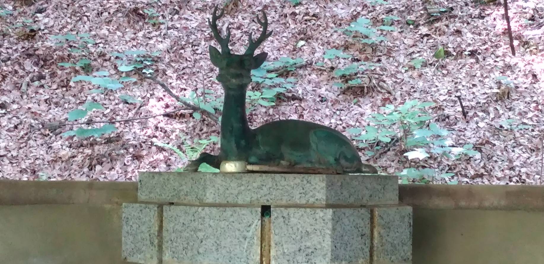 「鹿教湯温泉」