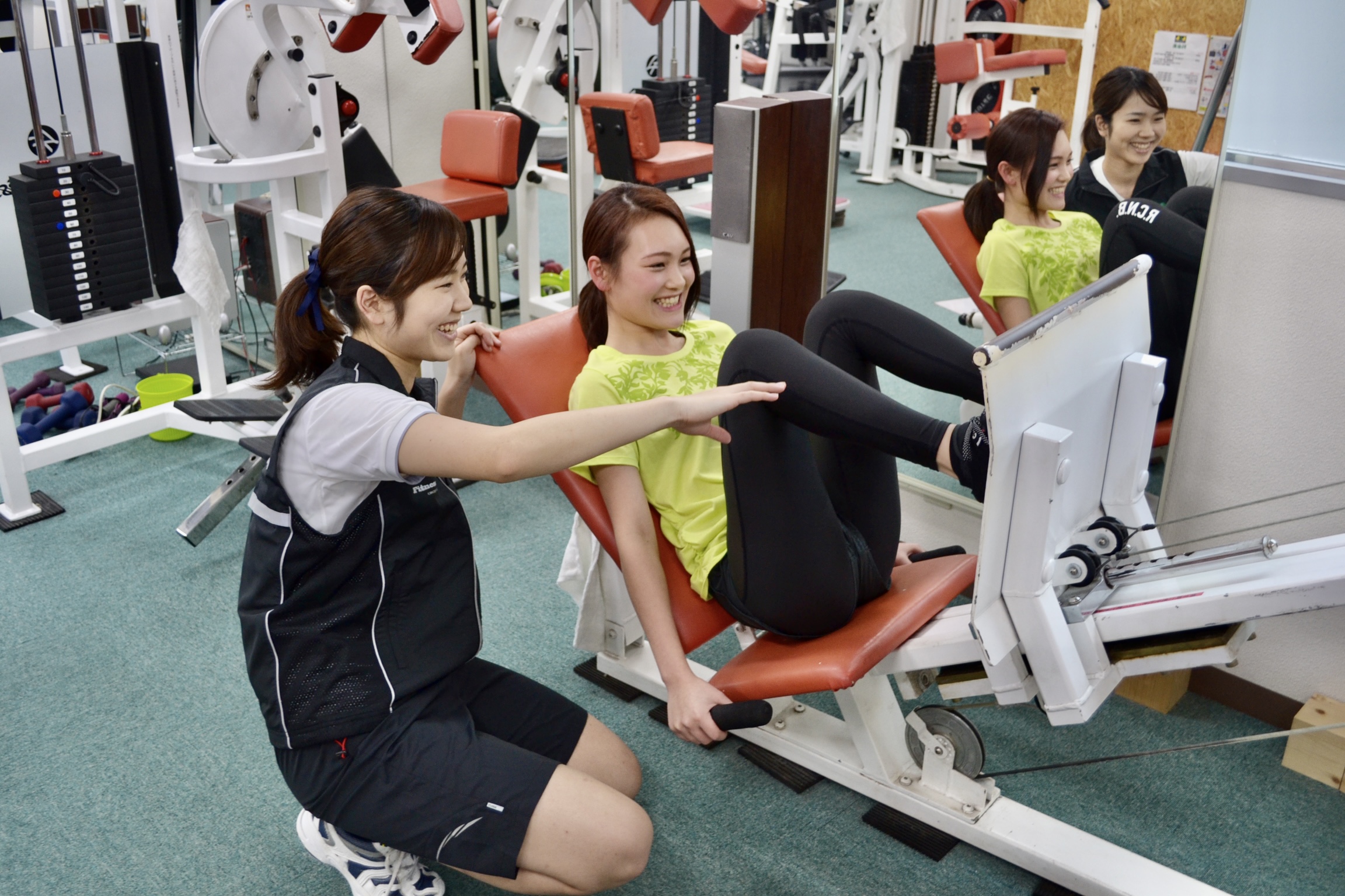 LOLフルタイム会員